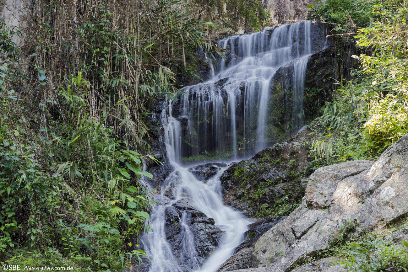 _IMG0968